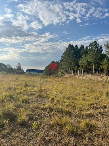 null: 5ª foto da galeria de imagens do imóvel