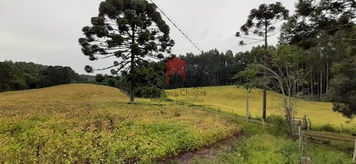 null: 1ª foto da galeria de imagens do imóvel