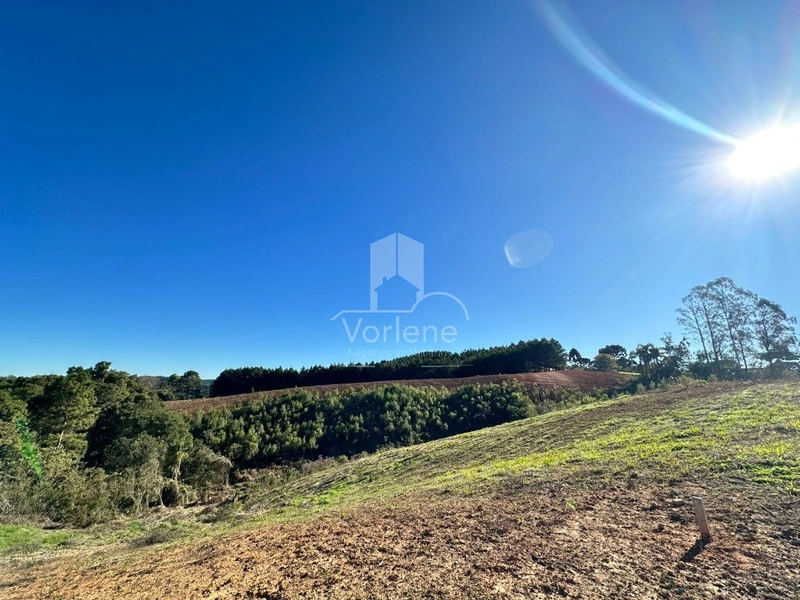 null: 3ª foto da galeria de imagens do imóvel