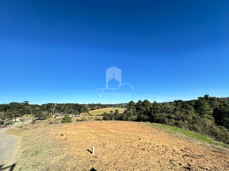 null: 4ª foto da galeria de imagens do imóvel