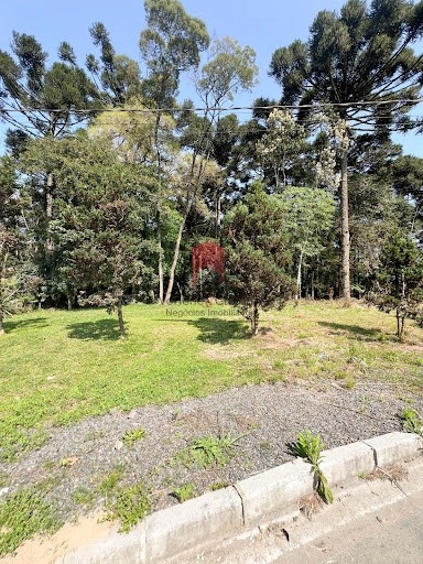 null: 4ª foto da galeria de imagens do imóvel