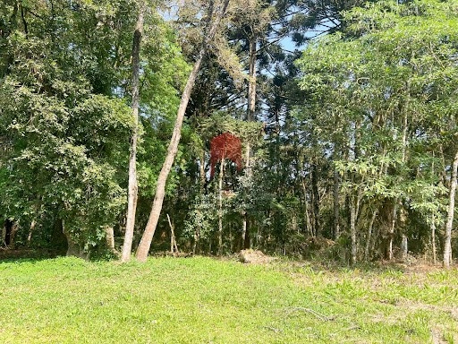 null: 6ª foto da galeria de imagens do imóvel