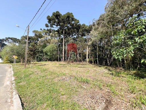 null: 3ª foto da galeria de imagens do imóvel