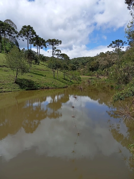 CHACARÁ À VENDA NO BAIRRO SERRA ALTA!: 40ª foto da galeria de imagens do imóvel