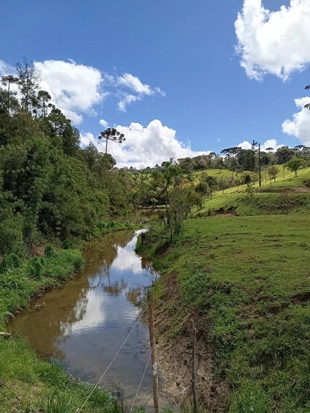 CHACARÁ À VENDA NO BAIRRO SERRA ALTA!: 3ª foto da galeria de imagens do imóvel