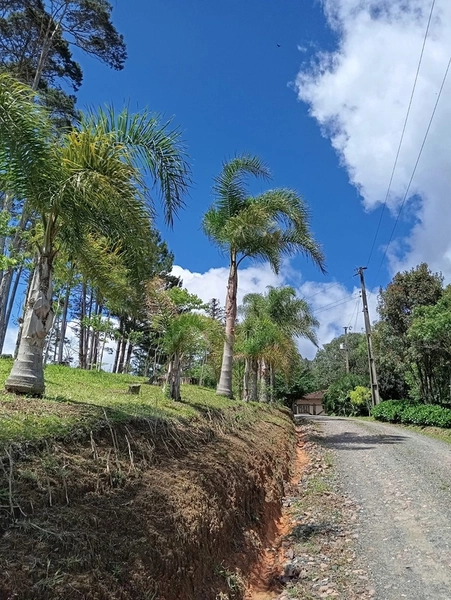 CHACARÁ À VENDA NO BAIRRO SERRA ALTA!: 31ª foto da galeria de imagens do imóvel