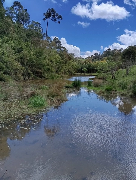 CHACARÁ À VENDA NO BAIRRO SERRA ALTA!: 4ª foto da galeria de imagens do imóvel