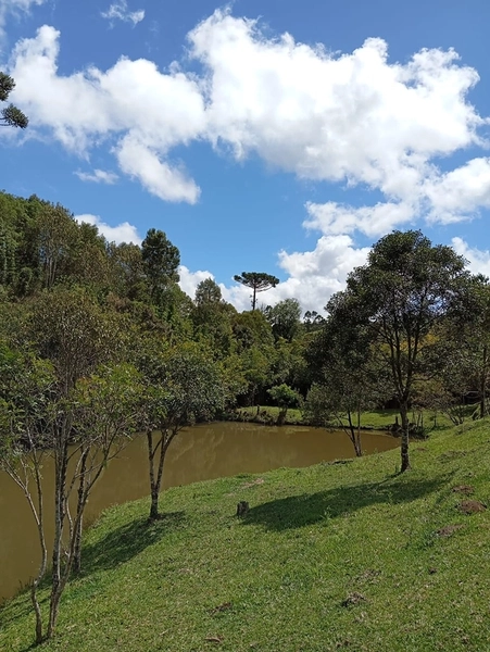 CHACARÁ À VENDA NO BAIRRO SERRA ALTA!: 15ª foto da galeria de imagens do imóvel