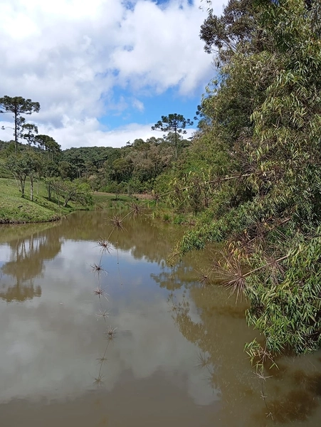 CHACARÁ À VENDA NO BAIRRO SERRA ALTA!: 27ª foto da galeria de imagens do imóvel