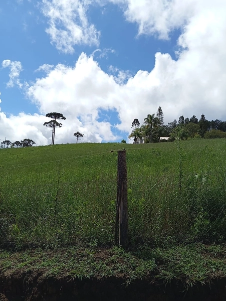 CHACARÁ À VENDA NO BAIRRO SERRA ALTA!: 18ª foto da galeria de imagens do imóvel