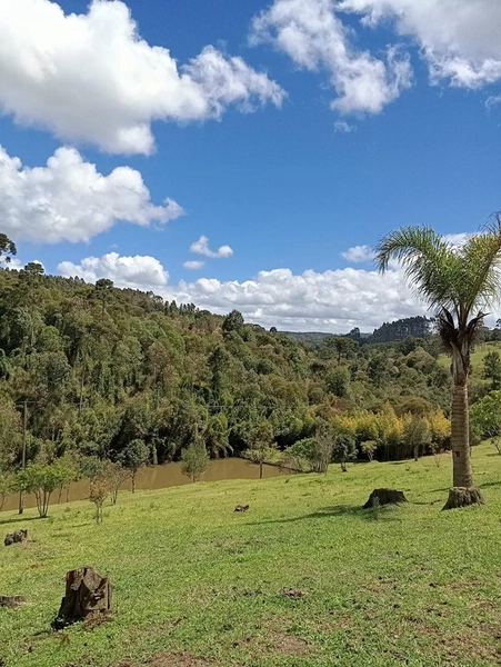 CHACARÁ À VENDA NO BAIRRO SERRA ALTA!: 14ª foto da galeria de imagens do imóvel