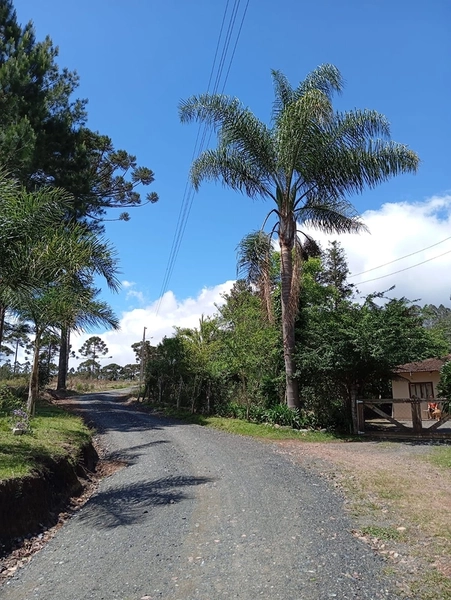 CHACARÁ À VENDA NO BAIRRO SERRA ALTA!: 39ª foto da galeria de imagens do imóvel
