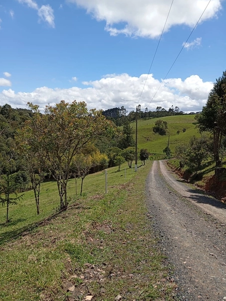 CHACARÁ À VENDA NO BAIRRO SERRA ALTA!: 41ª foto da galeria de imagens do imóvel