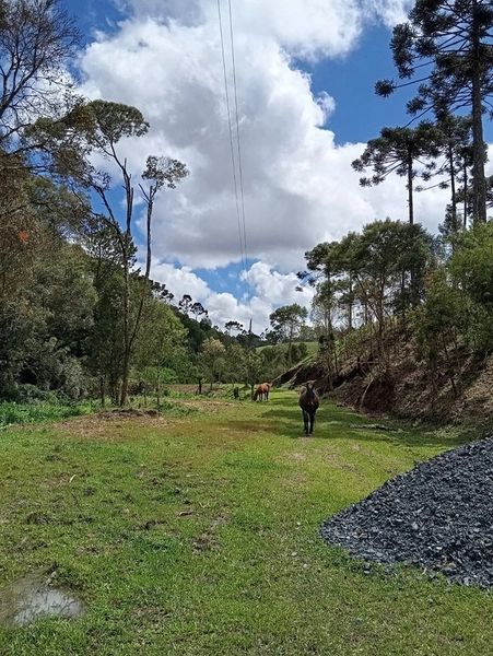 CHACARÁ À VENDA NO BAIRRO SERRA ALTA!: 7ª foto da galeria de imagens do imóvel