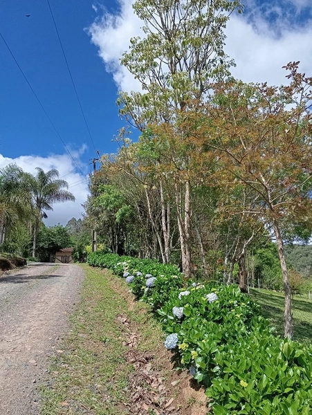 CHACARÁ À VENDA NO BAIRRO SERRA ALTA!: 42ª foto da galeria de imagens do imóvel