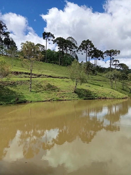 CHACARÁ À VENDA NO BAIRRO SERRA ALTA!: 32ª foto da galeria de imagens do imóvel
