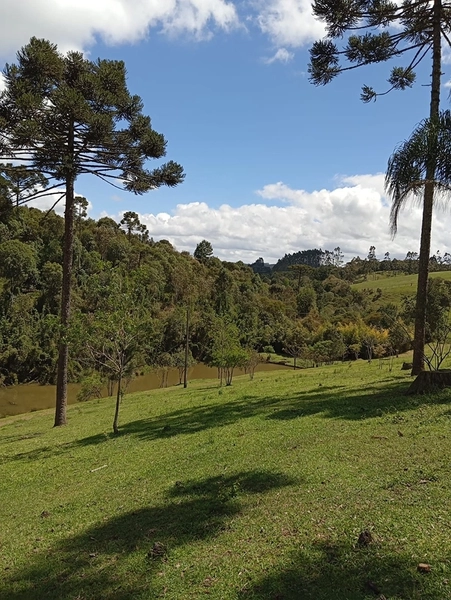 CHACARÁ À VENDA NO BAIRRO SERRA ALTA!: 19ª foto da galeria de imagens do imóvel