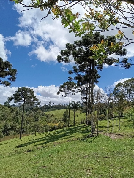 CHACARÁ À VENDA NO BAIRRO SERRA ALTA!: 2ª foto da galeria de imagens do imóvel