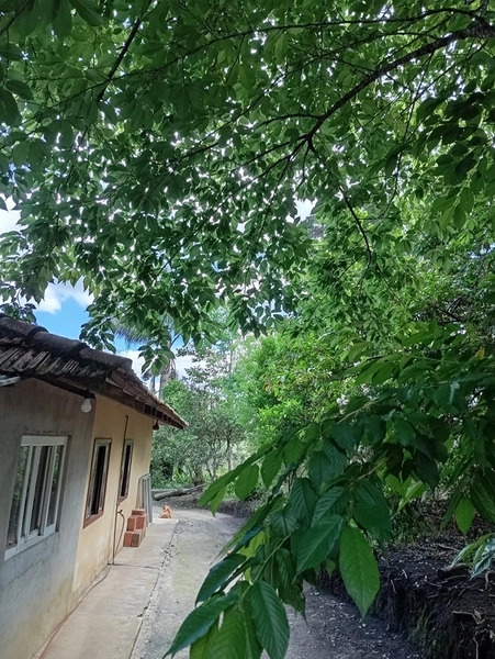 CHACARÁ À VENDA NO BAIRRO SERRA ALTA!: 29ª foto da galeria de imagens do imóvel