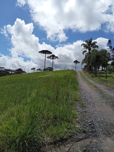 CHACARÁ À VENDA NO BAIRRO SERRA ALTA!: 37ª foto da galeria de imagens do imóvel