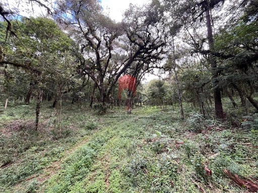 null: 2ª foto da galeria de imagens do imóvel