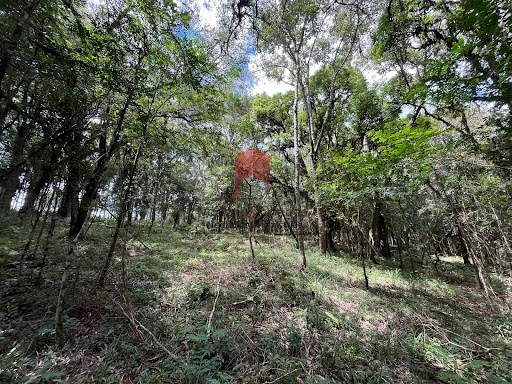 null: 10ª foto da galeria de imagens do imóvel