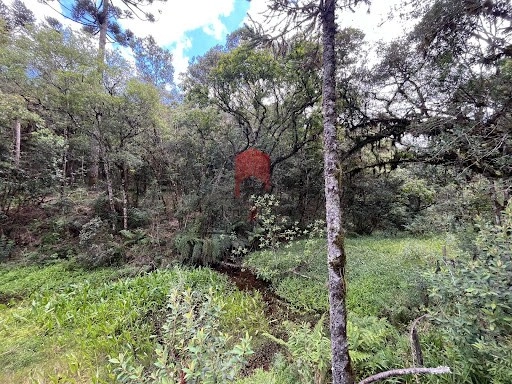 null: 7ª foto da galeria de imagens do imóvel