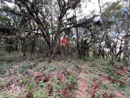 null: 9ª foto da galeria de imagens do imóvel