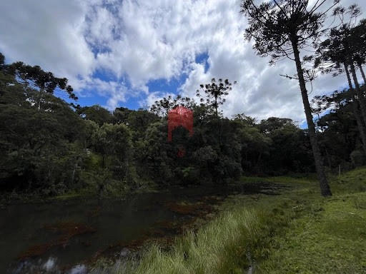 null: 5ª foto da galeria de imagens do imóvel