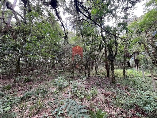 null: 8ª foto da galeria de imagens do imóvel