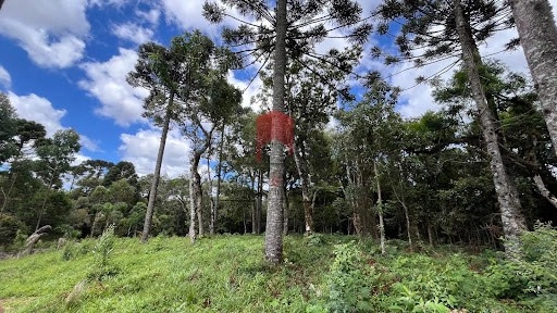 null: 1ª foto da galeria de imagens do imóvel