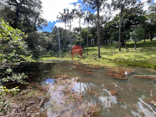 null: 3ª foto da galeria de imagens do imóvel