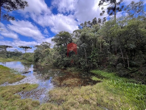 null: 4ª foto da galeria de imagens do imóvel