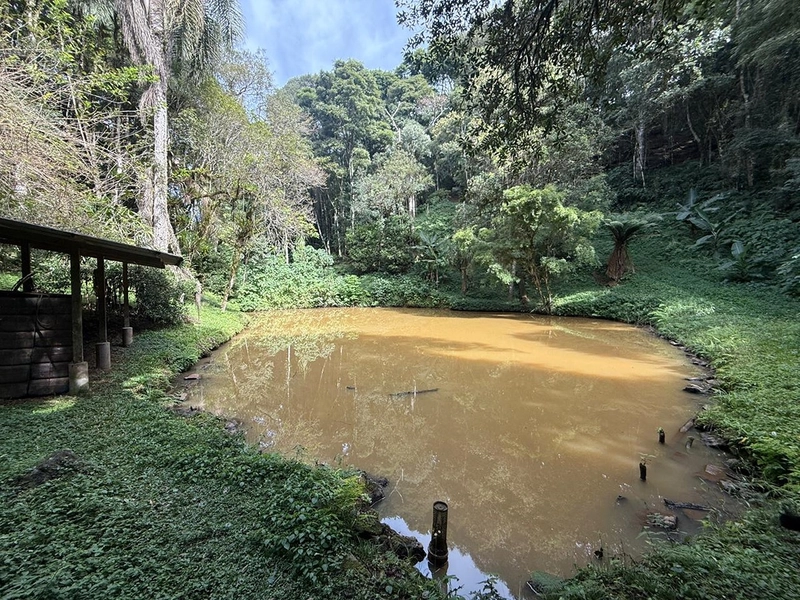 CHACARÁ Á VENDA EM CAMPO ALGRE!: 27ª foto da galeria de imagens do imóvel