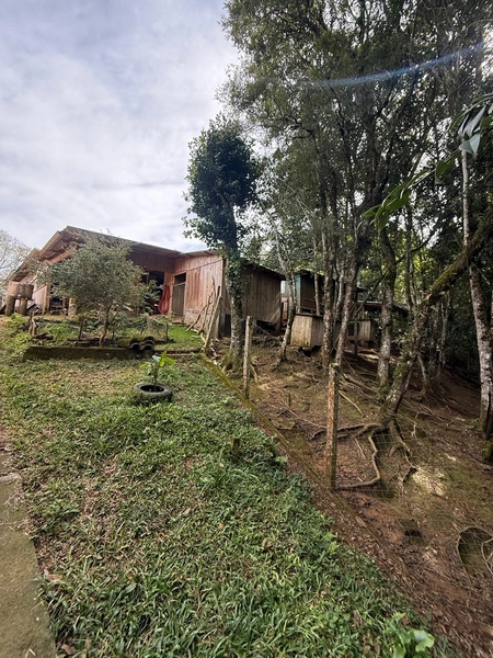 CHACARÁ Á VENDA EM CAMPO ALGRE!: 23ª foto da galeria de imagens do imóvel