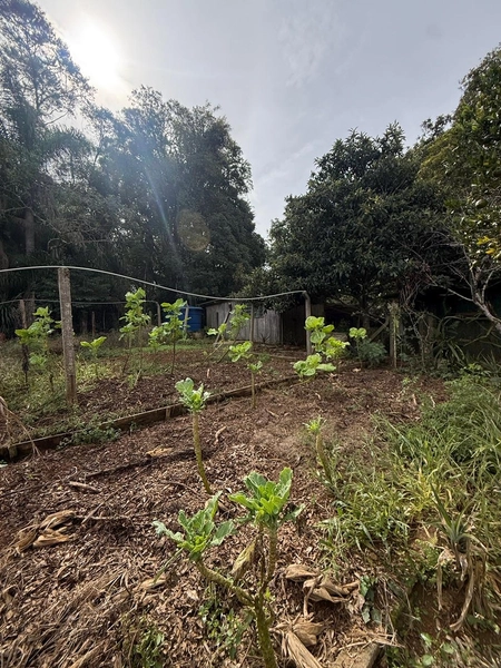 CHACARÁ Á VENDA EM CAMPO ALGRE!: 24ª foto da galeria de imagens do imóvel
