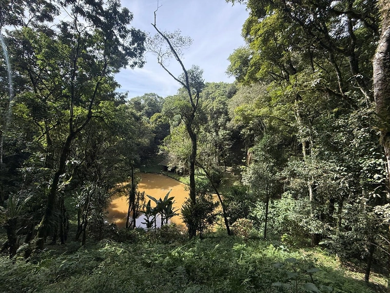 CHACARÁ Á VENDA EM CAMPO ALGRE!: 26ª foto da galeria de imagens do imóvel