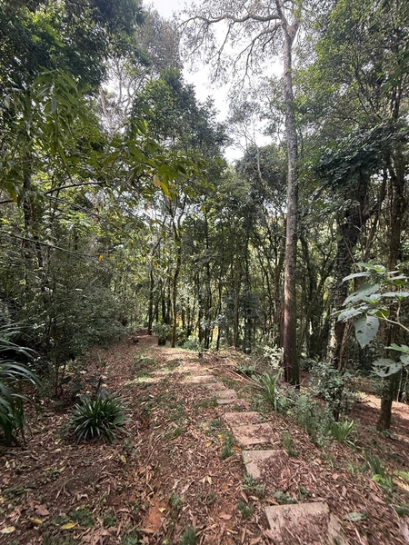 CHACARÁ Á VENDA EM CAMPO ALGRE!: 25ª foto da galeria de imagens do imóvel