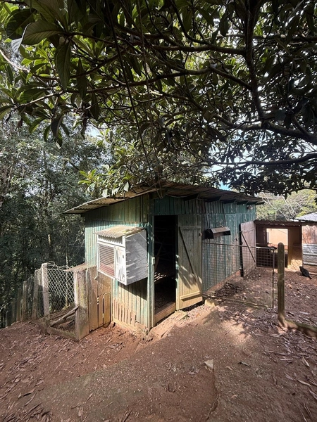 CHACARÁ Á VENDA EM CAMPO ALGRE!: 22ª foto da galeria de imagens do imóvel