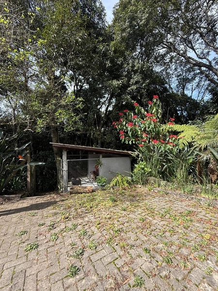 CHACARÁ Á VENDA EM CAMPO ALGRE!: 21ª foto da galeria de imagens do imóvel