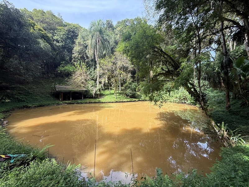 CHACARÁ Á VENDA EM CAMPO ALGRE!: 28ª foto da galeria de imagens do imóvel