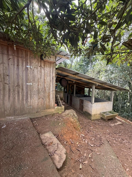 CHACARÁ Á VENDA EM CAMPO ALGRE!: 20ª foto da galeria de imagens do imóvel