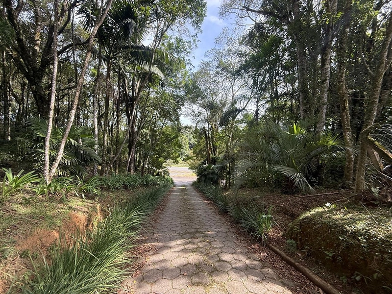 CHACARÁ Á VENDA EM CAMPO ALGRE!: 33ª foto da galeria de imagens do imóvel