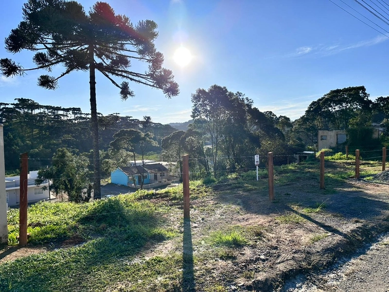 VENDE-SE TERRENOS EM SERRA ALTA - Vorlene Negócios Imobiliários: 3ª foto da galeria de imagens do imóvel