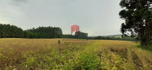 null: 2ª foto da galeria de imagens do imóvel