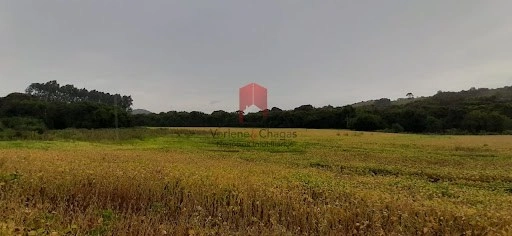 null: 1ª foto da galeria de imagens do imóvel