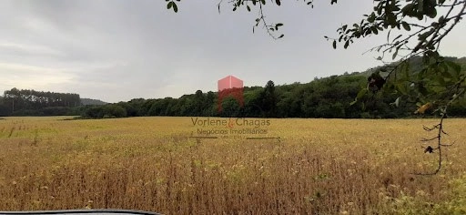 null: 4ª foto da galeria de imagens do imóvel