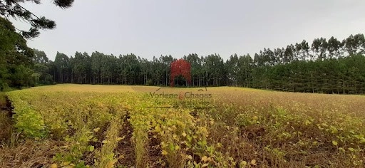 null: 5ª foto da galeria de imagens do imóvel