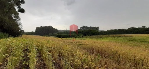 null: 3ª foto da galeria de imagens do imóvel