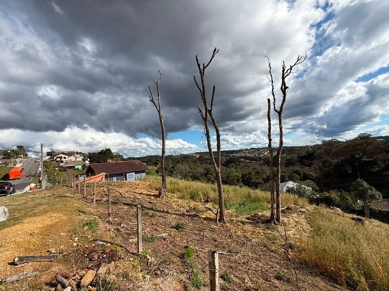 VENDE-SE TERRENO NO COLONIAL - Vorlene Negócios Imobiliários: 3ª foto da galeria de imagens do imóvel